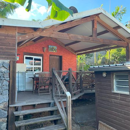 La Bananeraie Apt 35M2 Piscine Jardin Tropical Parking Prive Saint-Leu Buitenkant foto