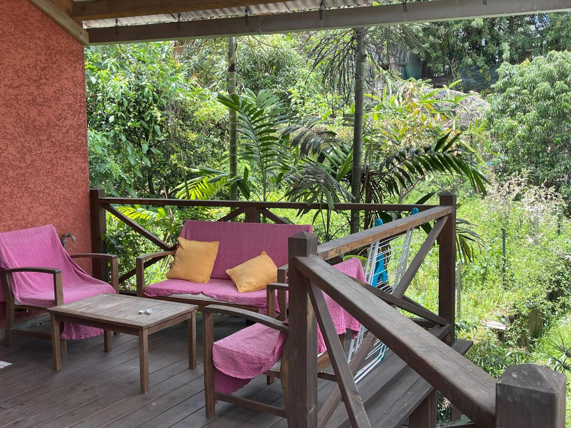 La Bananeraie Apt 35M2 Piscine Jardin Tropical Parking Prive Saint-Leu Buitenkant foto