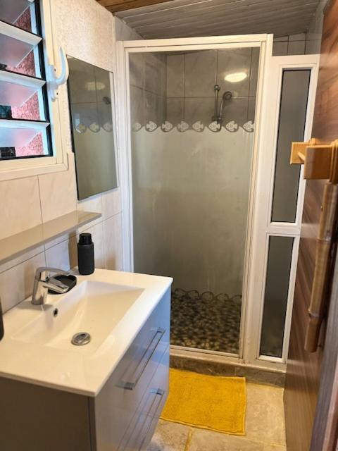 La Bananeraie Apt 35M2 Piscine Jardin Tropical Parking Prive Saint-Leu Buitenkant foto