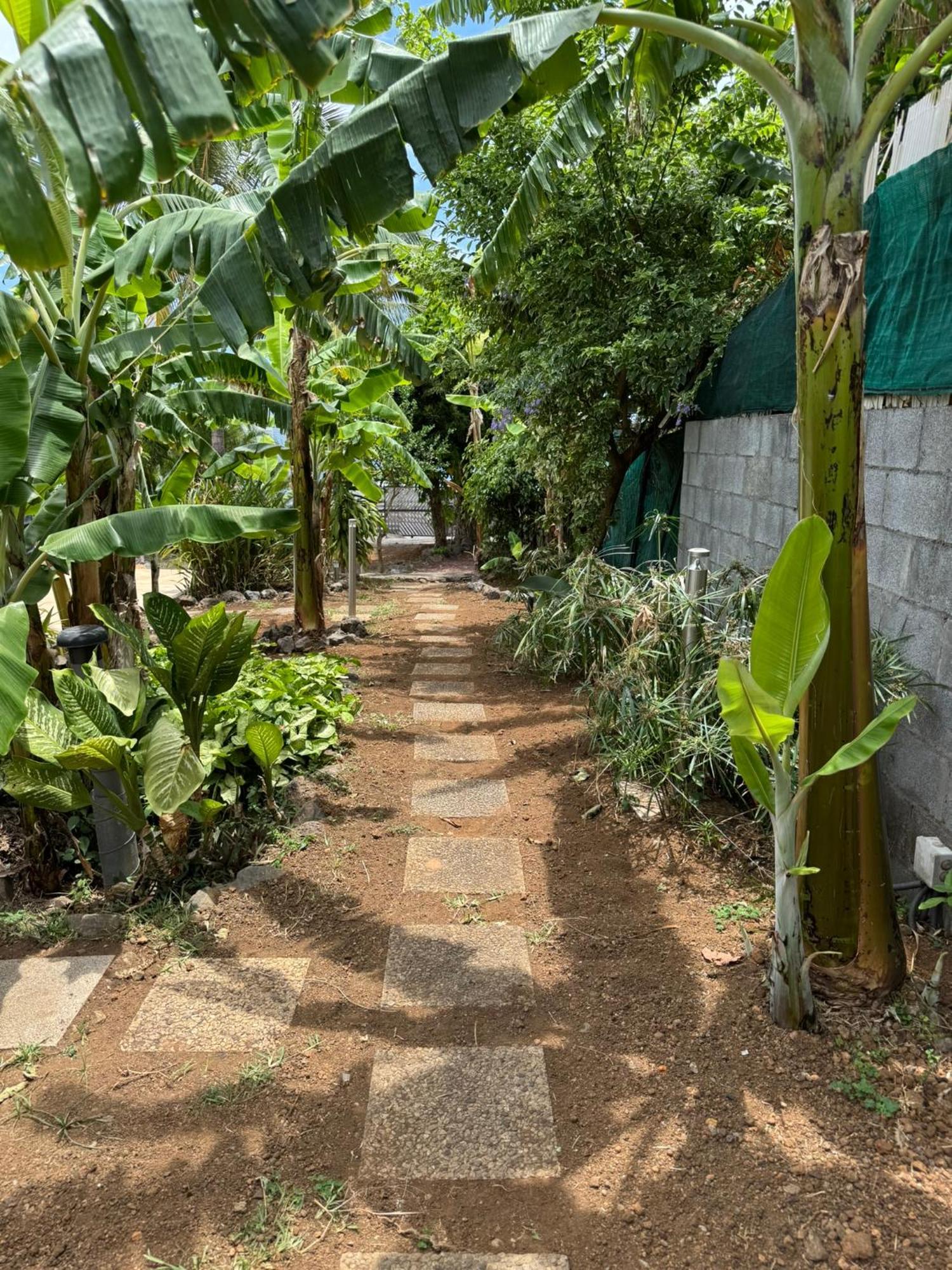 La Bananeraie Apt 35M2 Piscine Jardin Tropical Parking Prive Saint-Leu Buitenkant foto