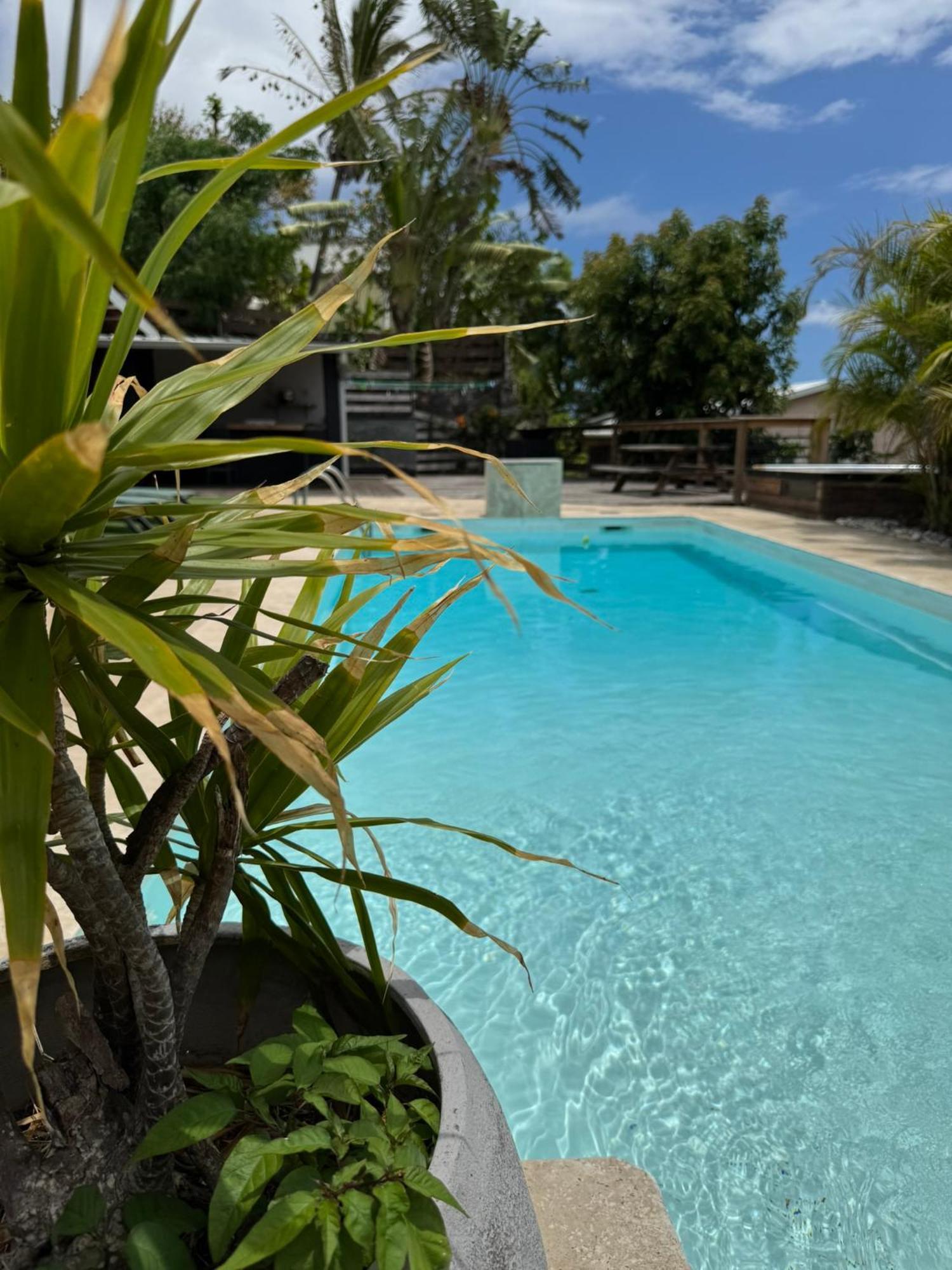 La Bananeraie Apt 35M2 Piscine Jardin Tropical Parking Prive Saint-Leu Buitenkant foto