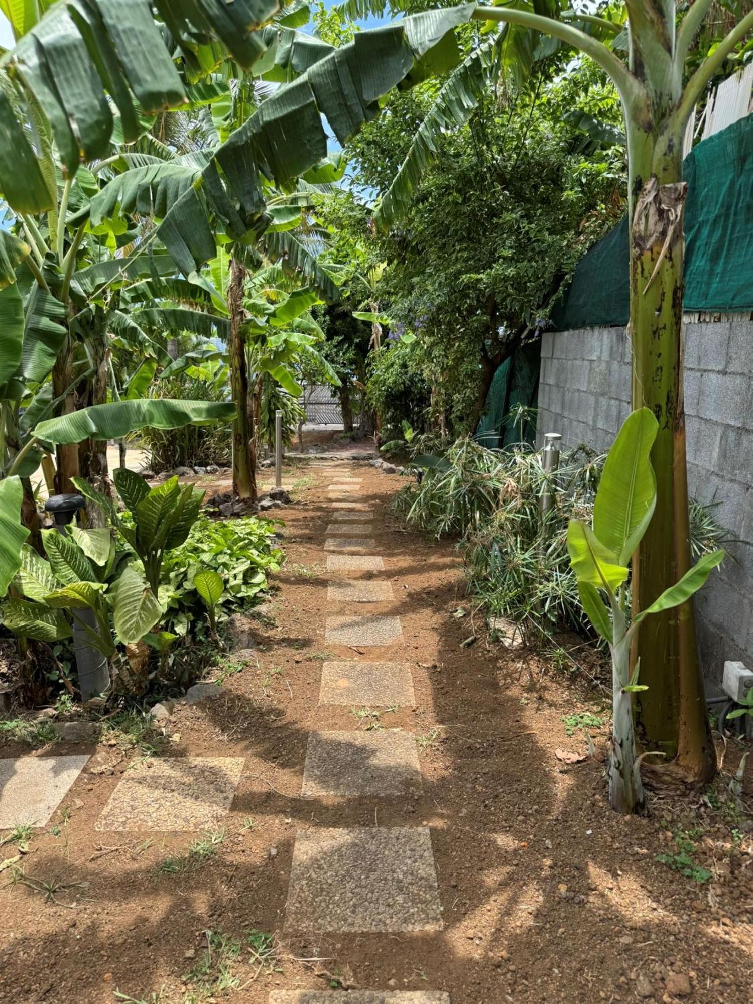 La Bananeraie Apt 35M2 Piscine Jardin Tropical Parking Prive Saint-Leu Buitenkant foto